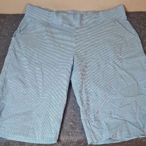 Donna Moore Blue Striped Shorts size 1X